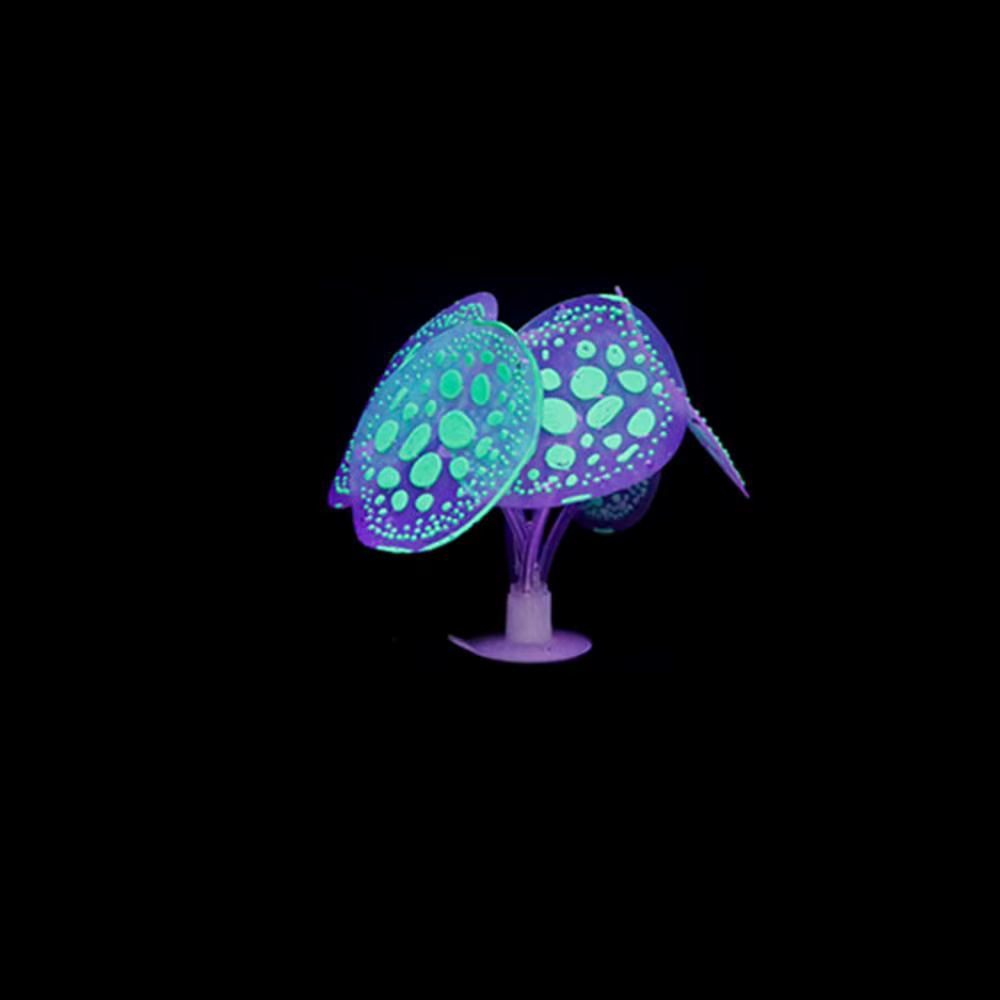 Plantes lumineuses en Silicone