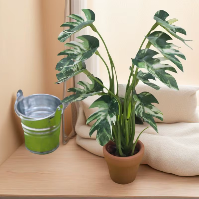 Plante Monstera Miniature délicate pour maison de poupée 1/12