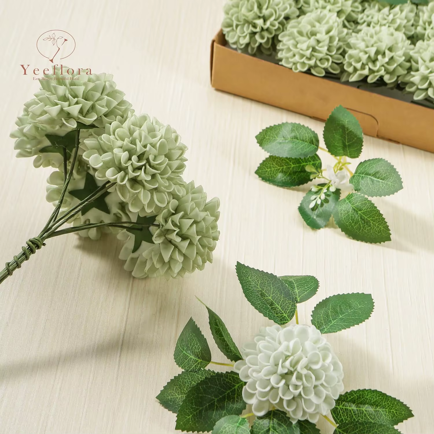 Fleurs de Dahlia vert sauge
