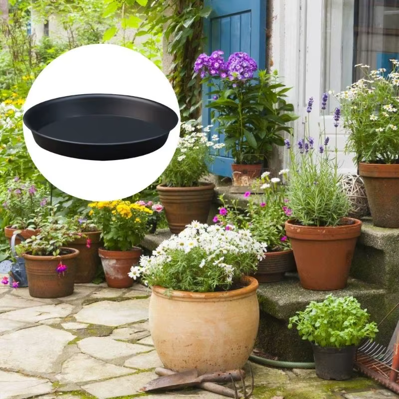 Soucoupes plantes épaissi des plateaux fleurs à goutte en plastique rond pour maintenir santé du jardin intérieur