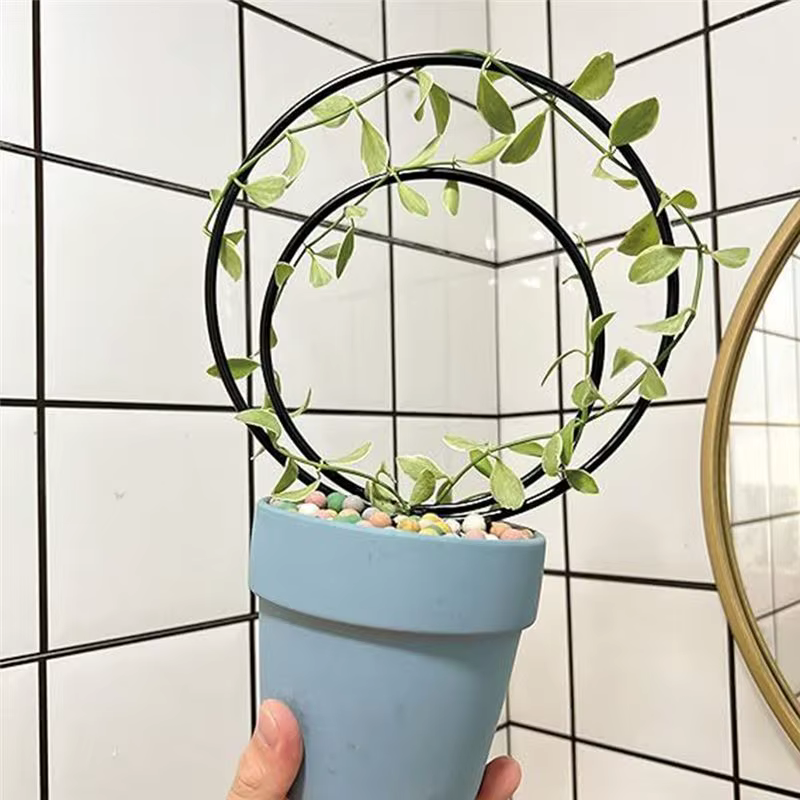 A36T-Ensemble de 3 treillis ronds d'intérieur pour plantes grimpantes