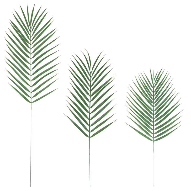 Feuilles de palmier Monstera Tropical