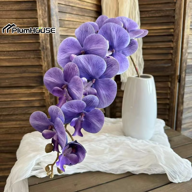 Phalaenopsis artificiel