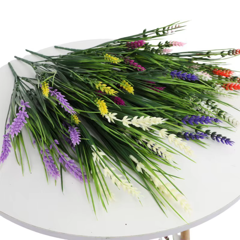 Bouquet de plantes de lavande violette