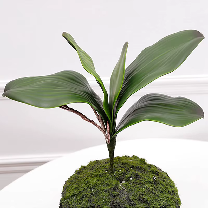 Bouquet de Fleurs Artificielles Phalaenopsis sulfBranches