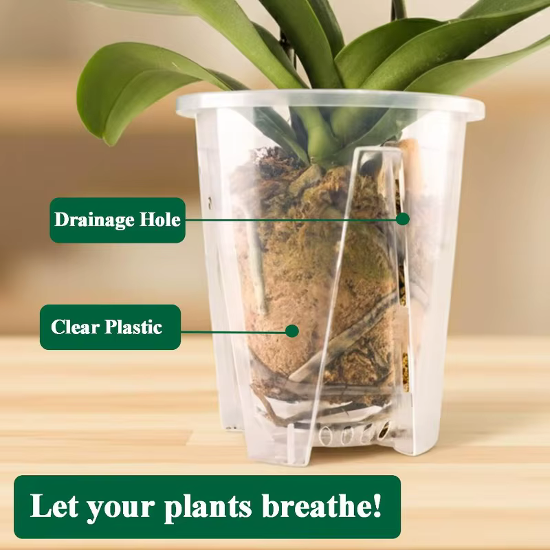 Pot de plantes d'orchidées Transparent