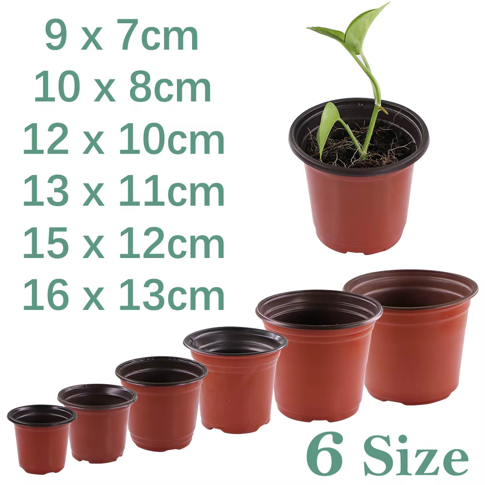 Pot de plantes de jardin