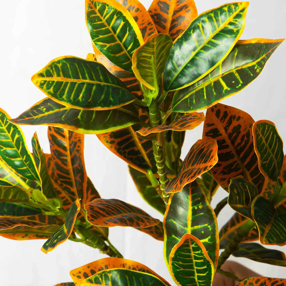 Plantes artificielles de croton de 24-41 cm