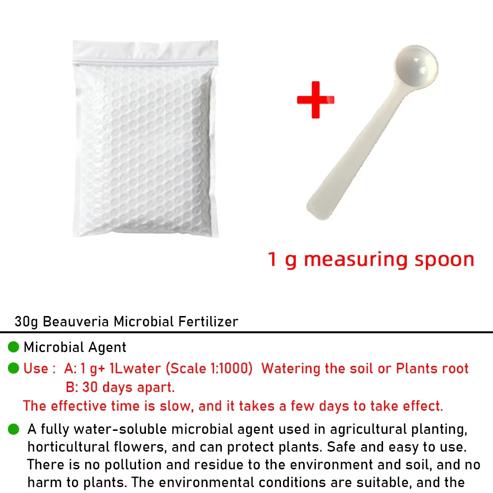 Engrais Microbien Beauveria 30g Entièrement Hydrosoluble Agent Alimentaire pour Plantes Protection