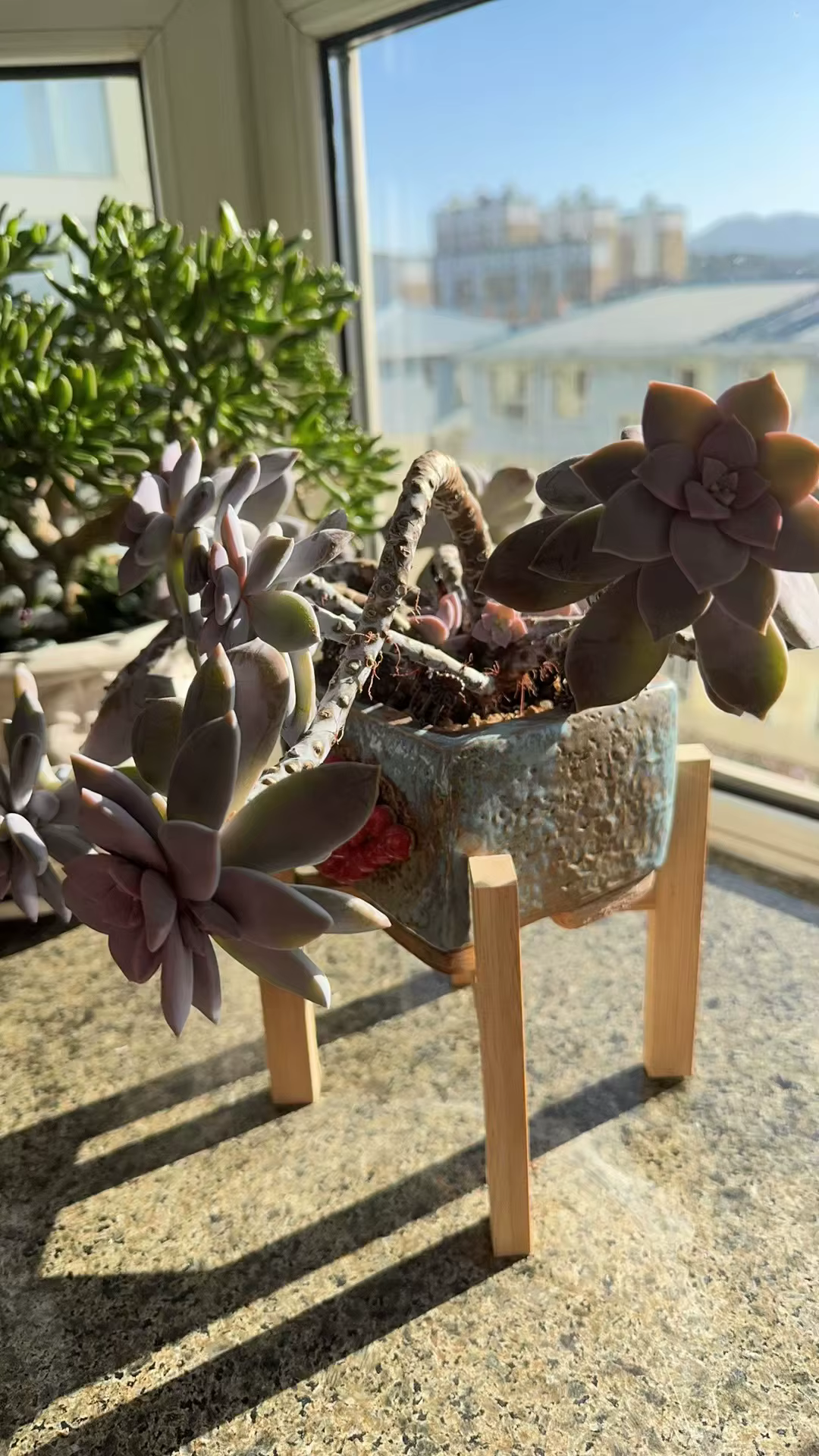 Support pour plantes en bambou naturel