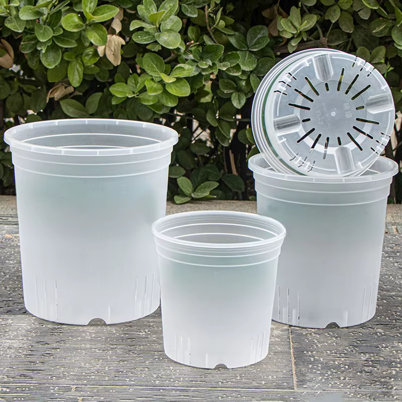 Pot de fleurs Transparent avec trous