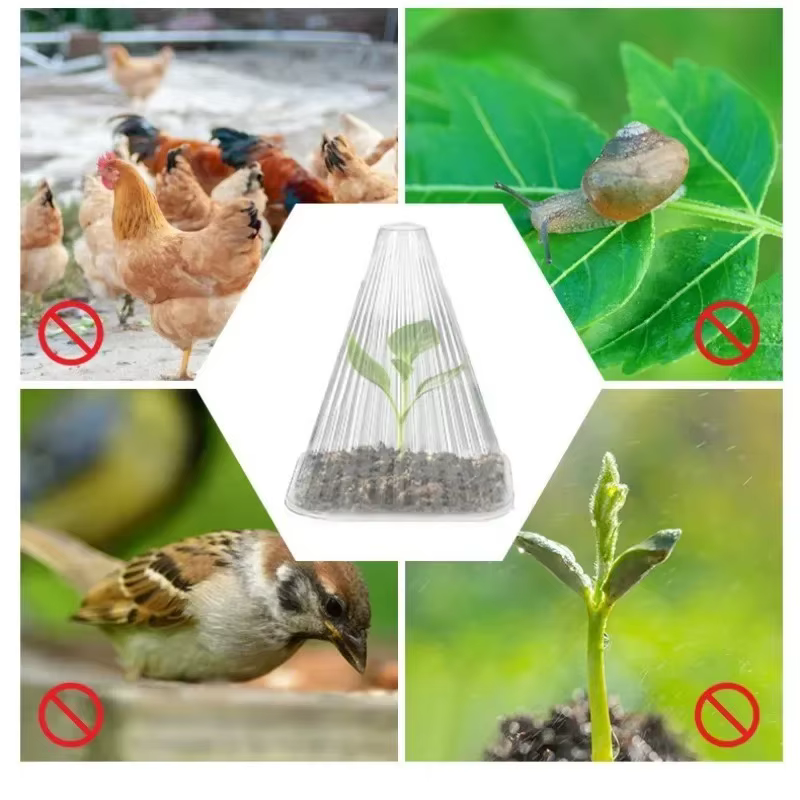 20 pièces/ensemble de couverture de semis de plantes réutilisable