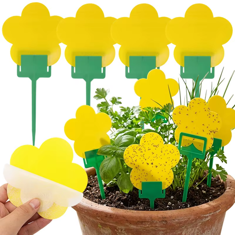 Piège adhésif double face pour fleurs