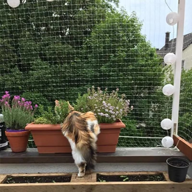Nouveau couvercle de protection pour animaux de compagnie chat chien filet en plastique Nylon fil d'acier grille jardin