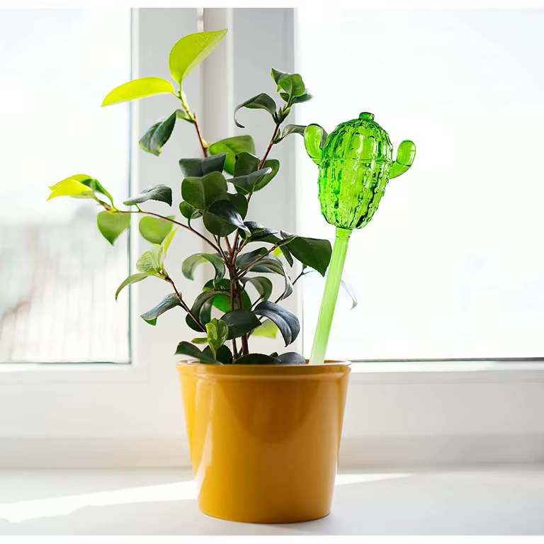 Distributeur d'eau pour plantes en verre