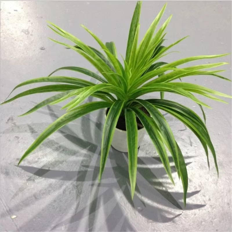 Branche artificielle de Chlorophytum Comosum