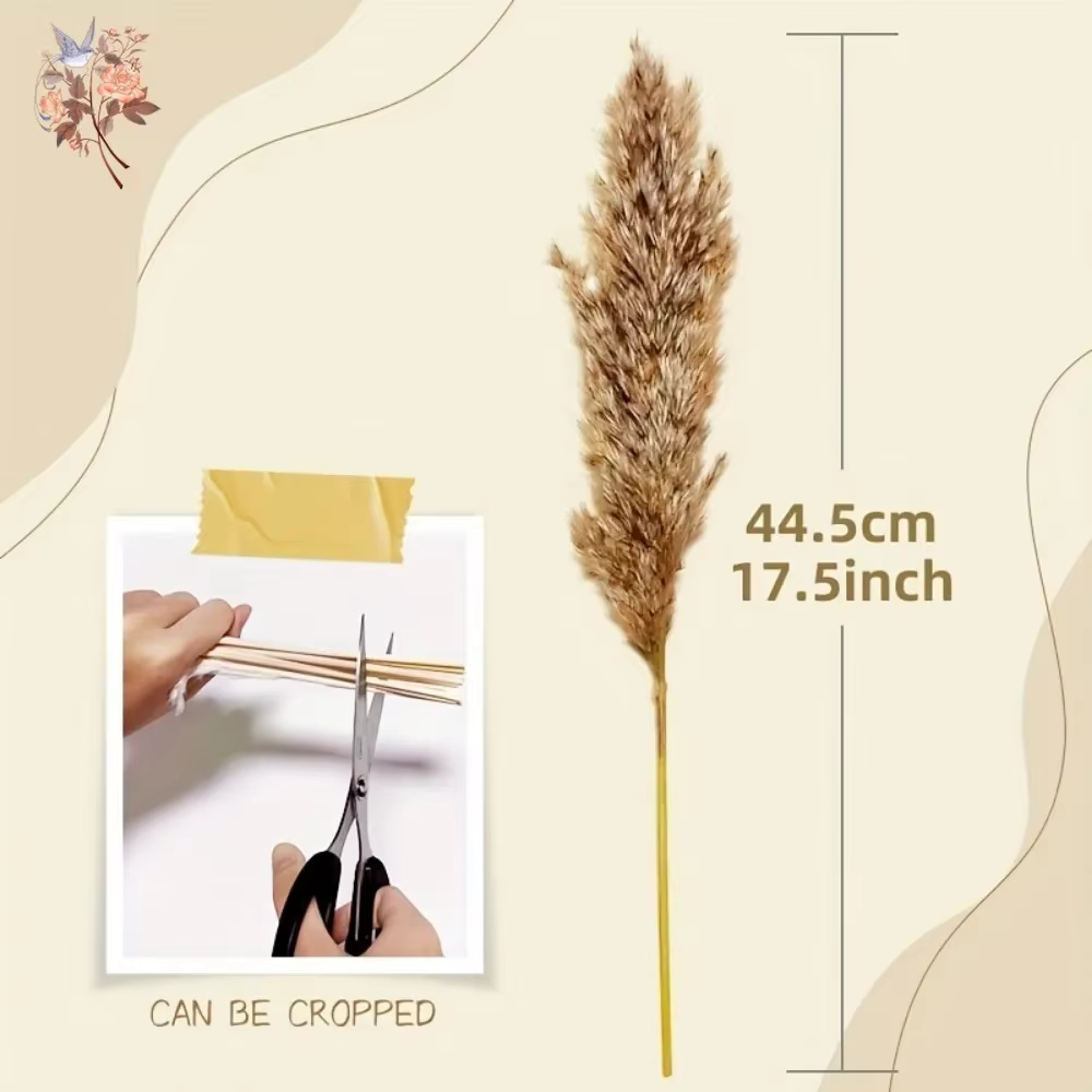 Bouquet d'herbe de la pampa séchée naturelle pour décoration bohème