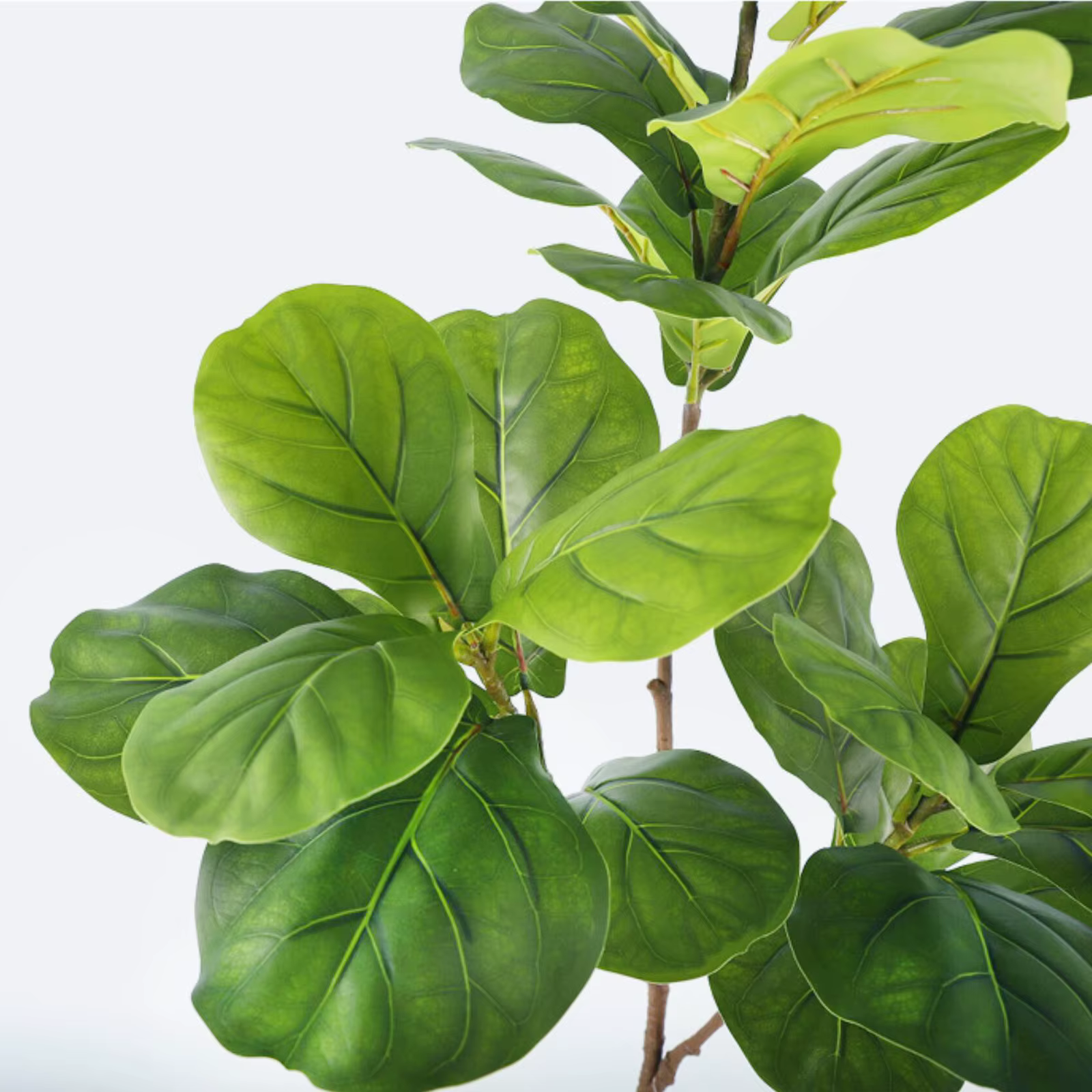 Ficus lyrata artificiel de 45-135 cm