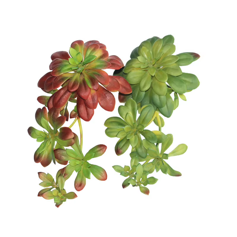 Plantes succulentes artificielles vertes et rouges