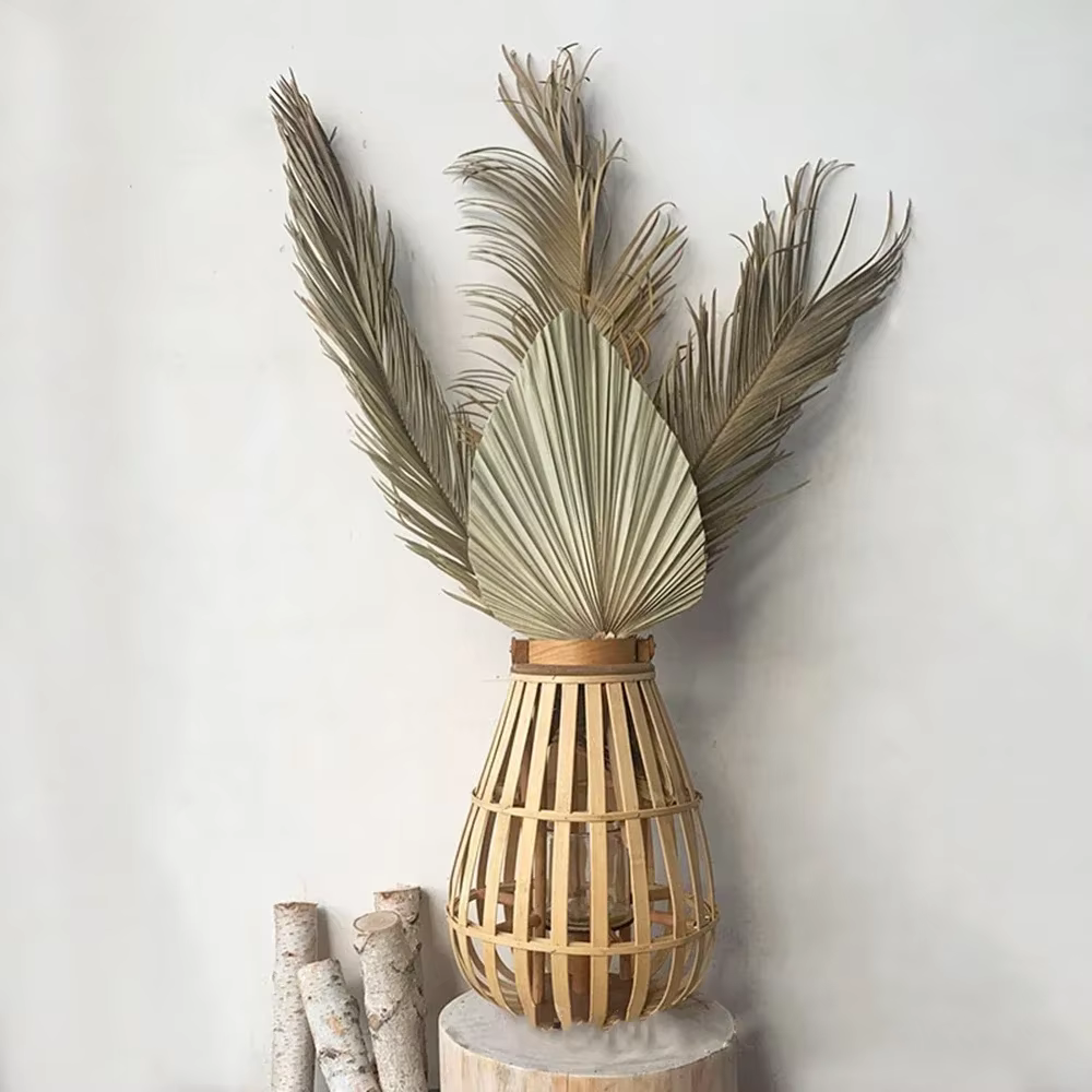 Branche de Sago Cycas de plantes naturelles séchées