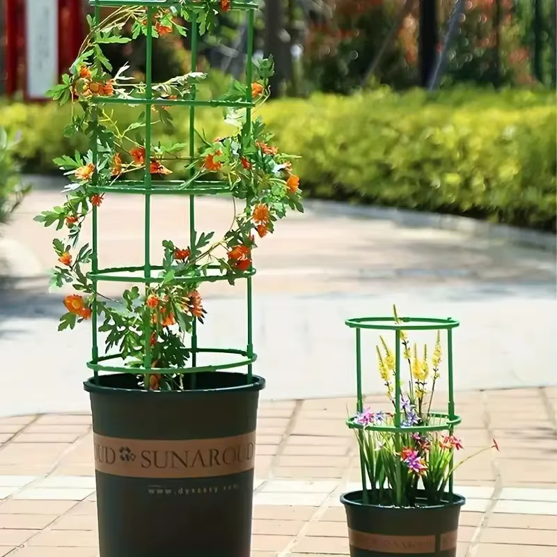 Piquets de Support pour plantes
