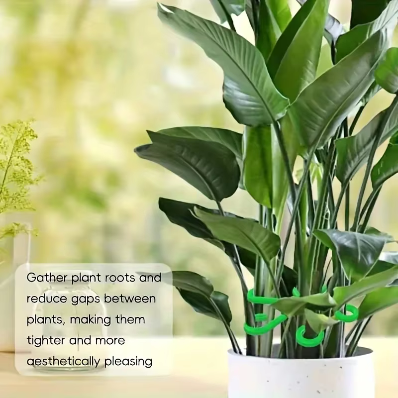4 clips de support pour plantes en plastique