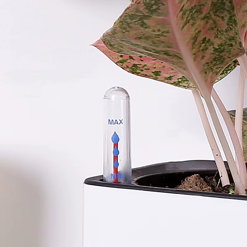 Indicateur de niveau d'eau pour plantes d'intérieur
