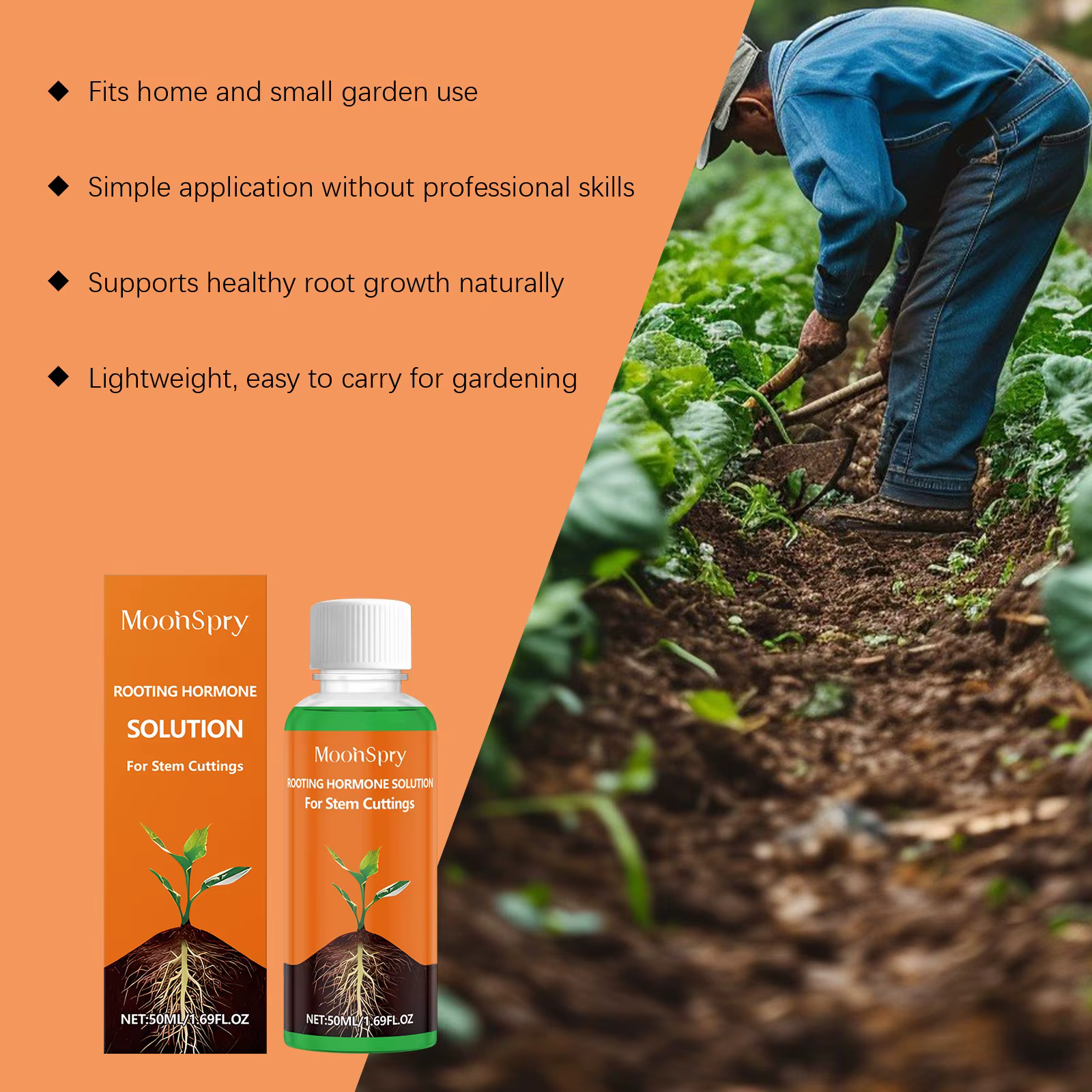 Agent d'enracinement pour plantes
