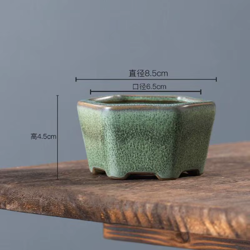 Pot de plantes succulentes émaillées en poterie grossière