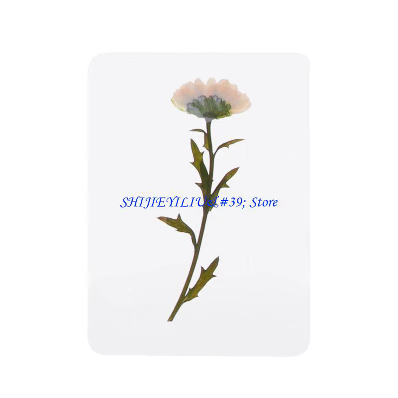 Mélange feuilles fleurs pressées E21F