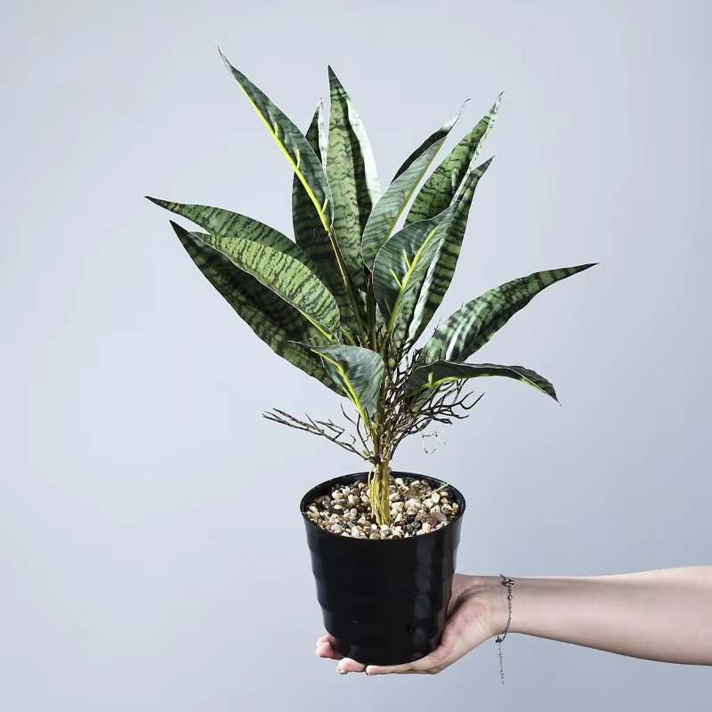5 pièces de plantes artificielles en plastique Sansevieria