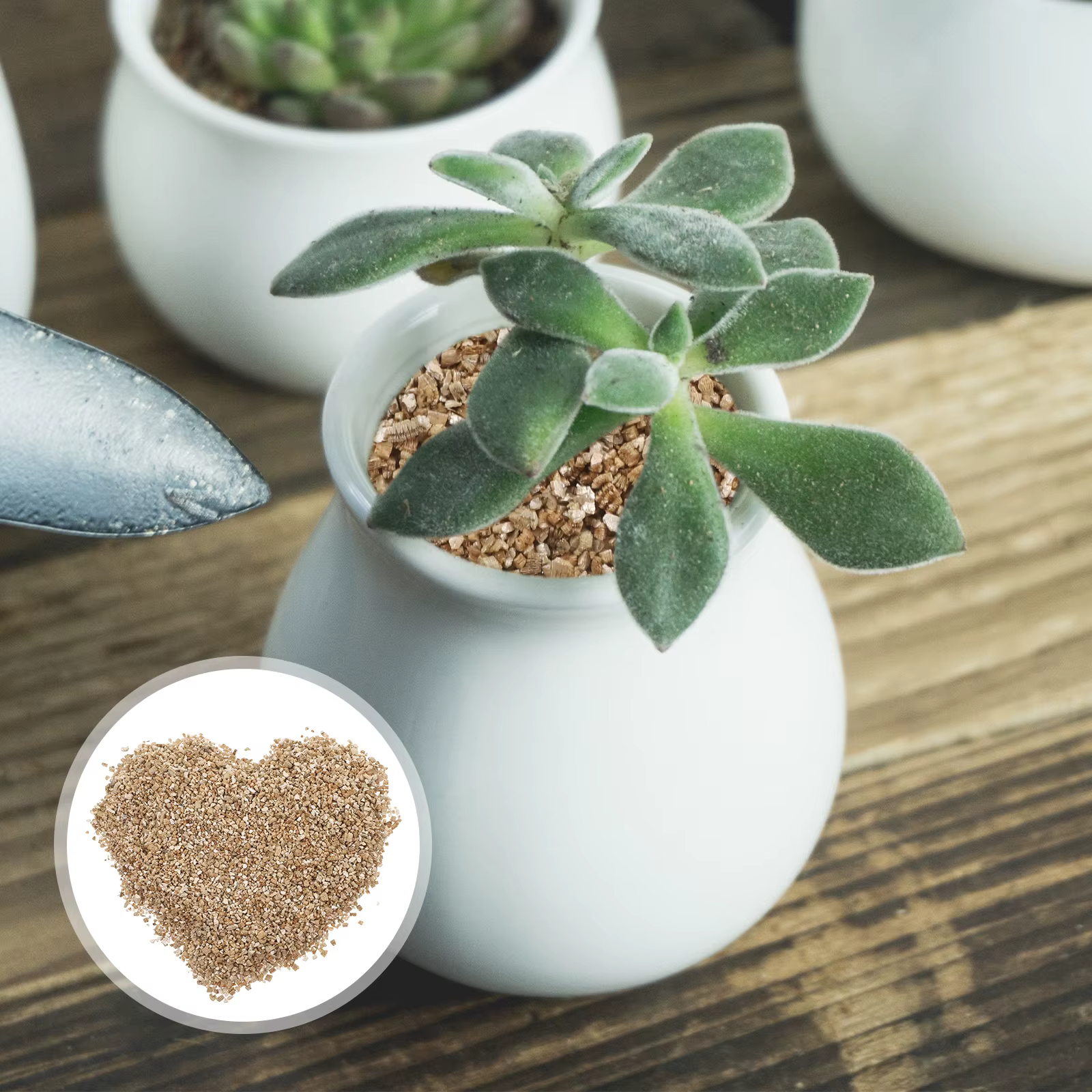 Vermiculite 3L croissance moyenne pour plantes