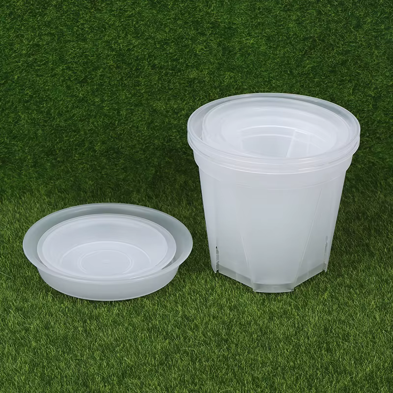 Pot de fleur transparent avec escalier