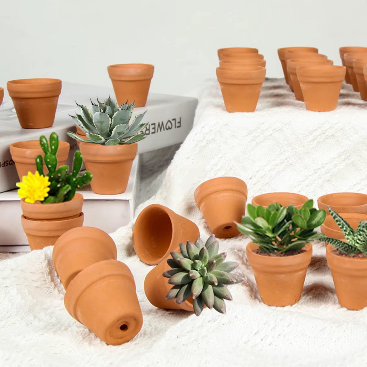 Mini jardinières en terre cuite de 1.3 pouces