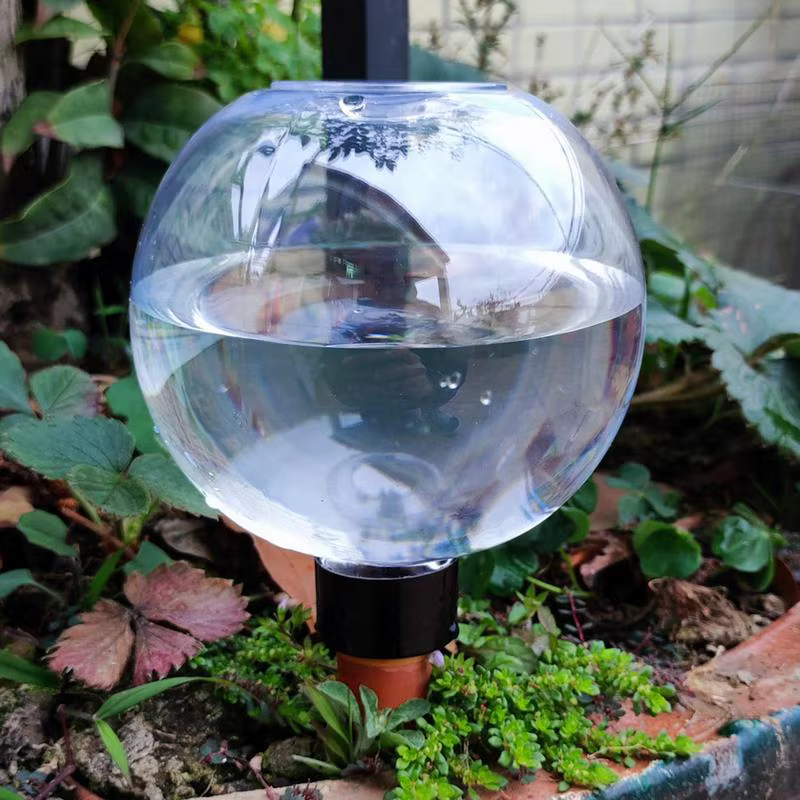 Système d'irrigation goutte à goutte automatique de 500ML