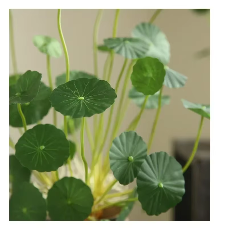 Plantes artificielles de Lotus