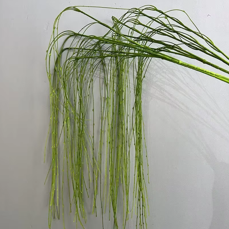 Simulation de plantes de saules pleureurs