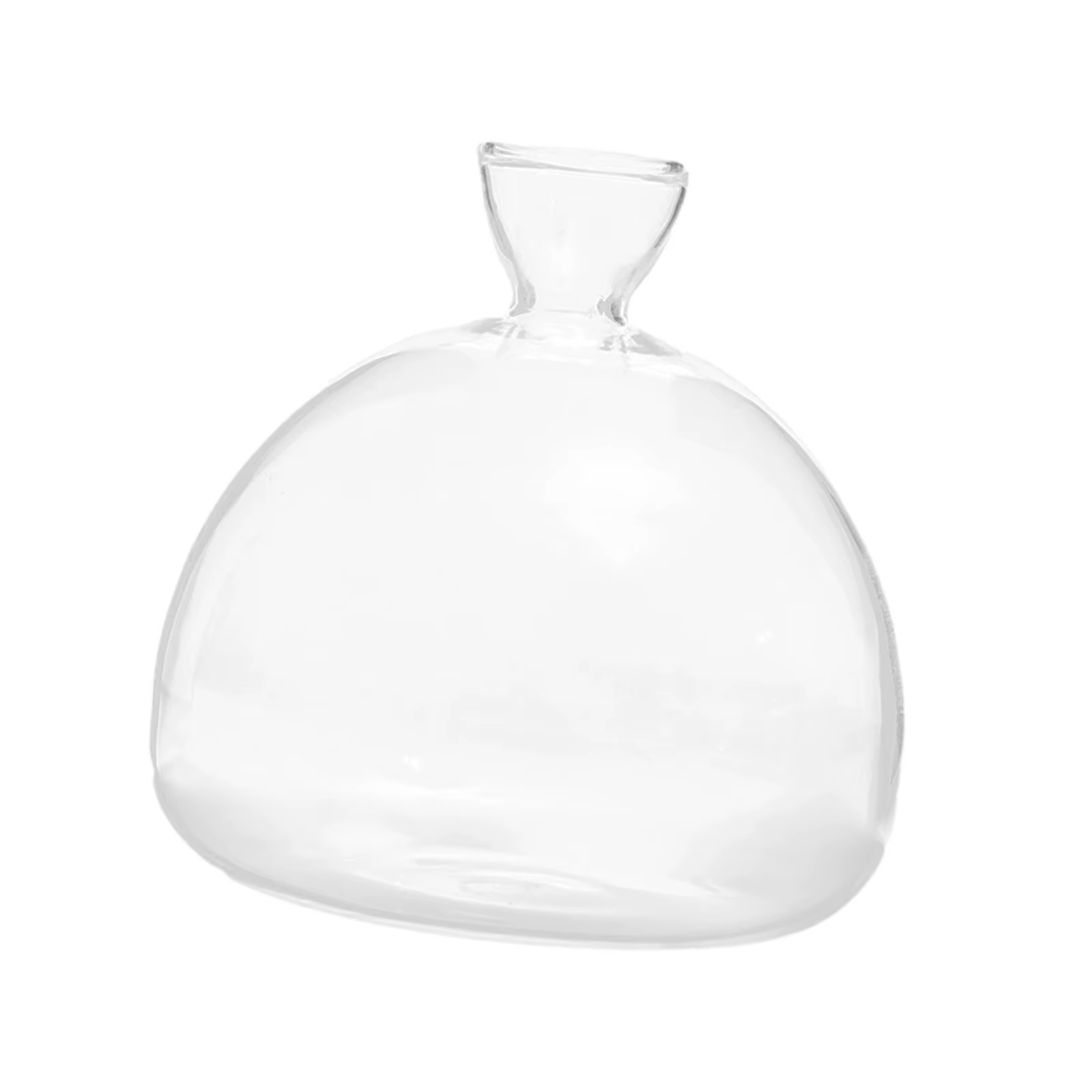 Vase de germination pour graines d'avocat