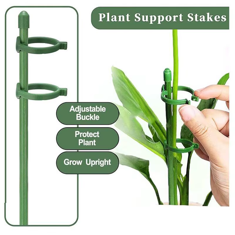 Piquets de Support pour plantes