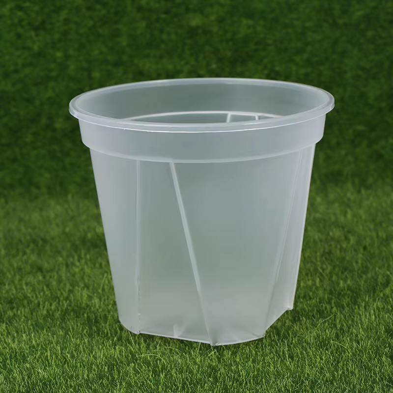 Pot de fleur transparent avec escalier
