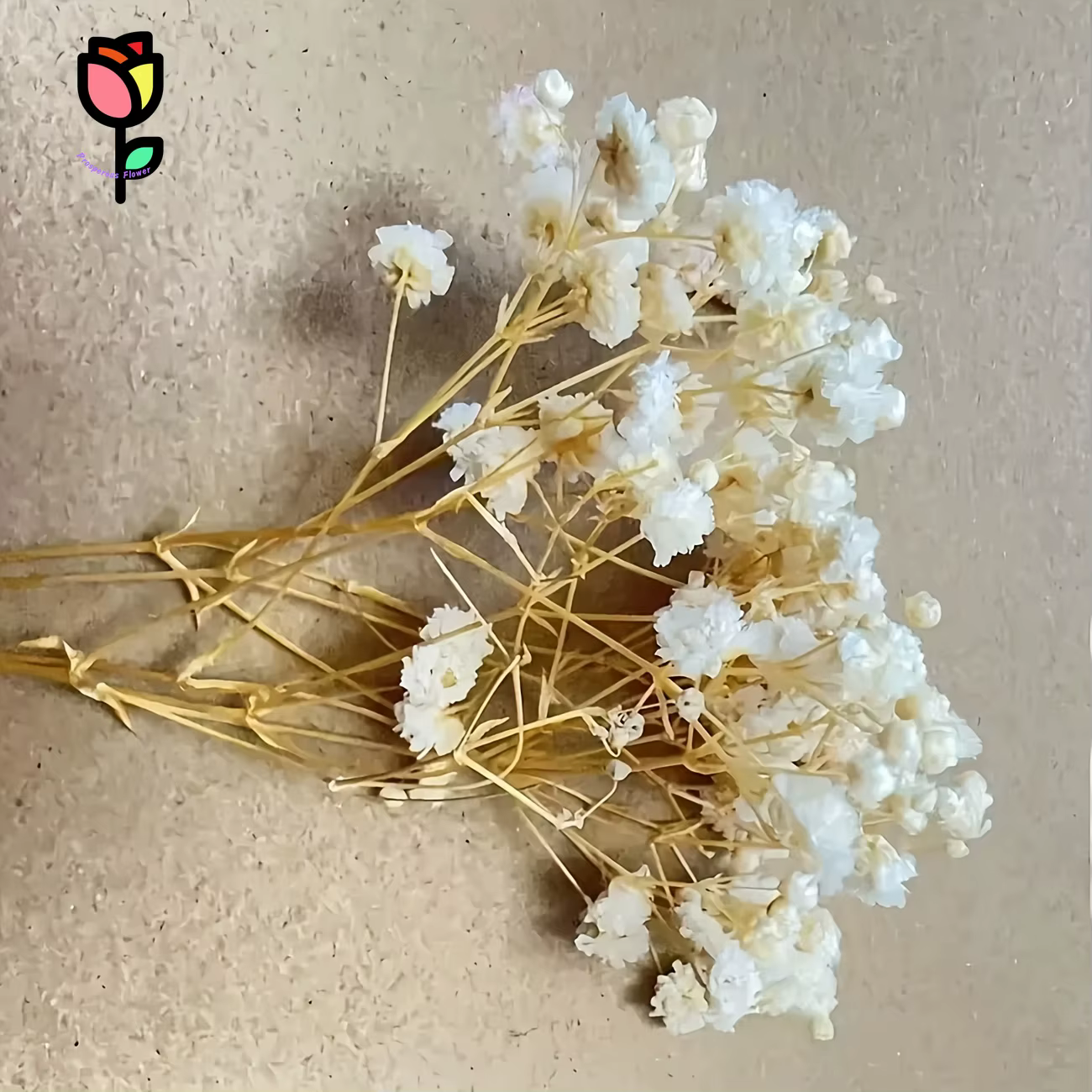 Bouquet de fleurs sèches