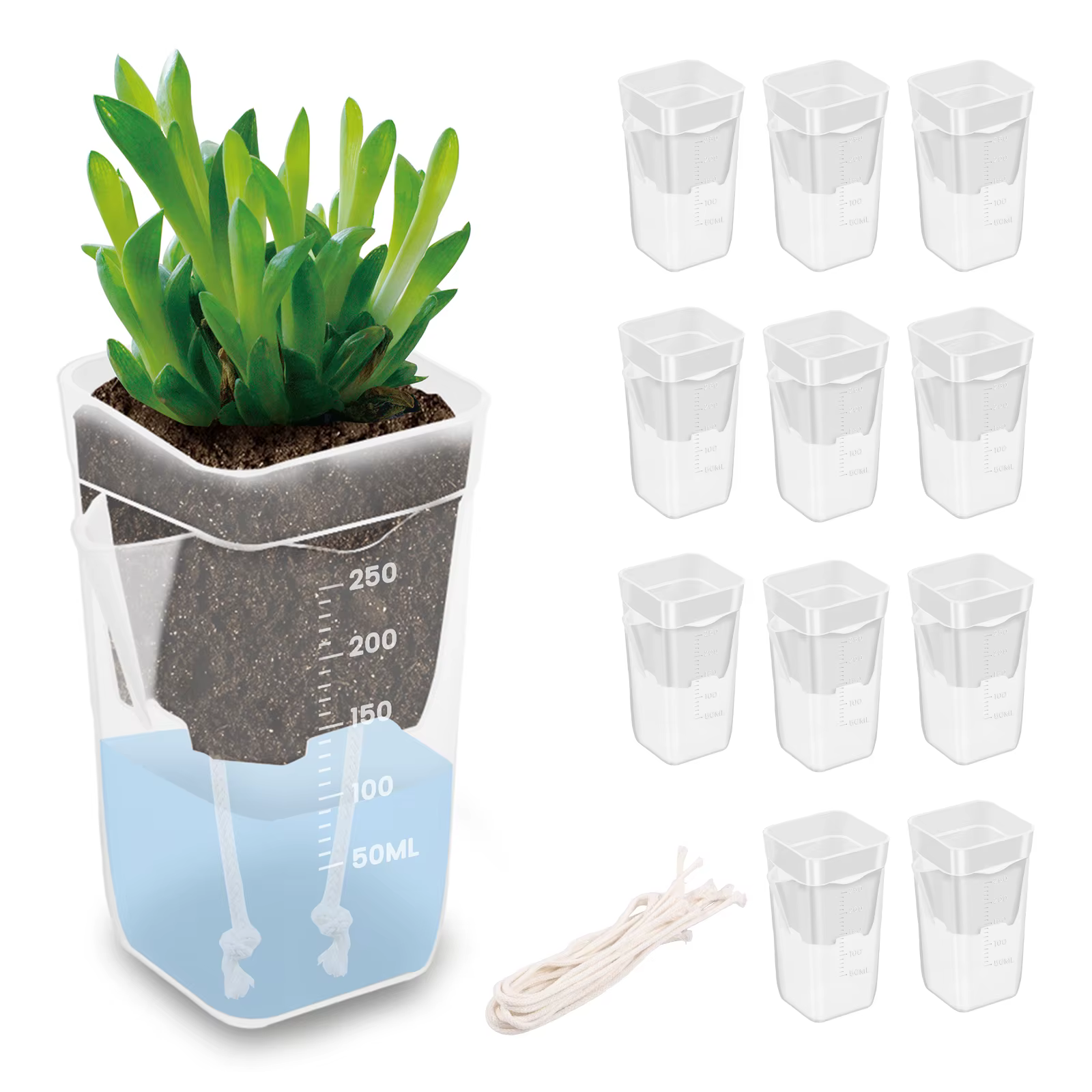 12 pots de plantes auto-arrosants transparents à double couche en plastique avec trous de drainage et corde en coton