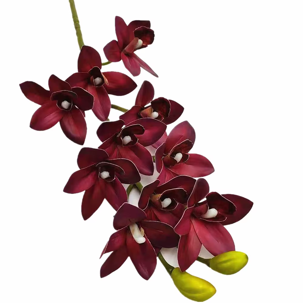 Phalaenopsis Élau toucher réaliste, plante d'orchidée, vanda, cymbidium, tigre