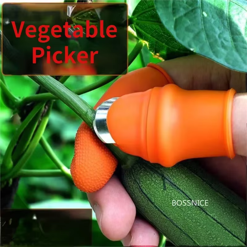 Patch de fruits et légumes de ferme pour verger de jardin