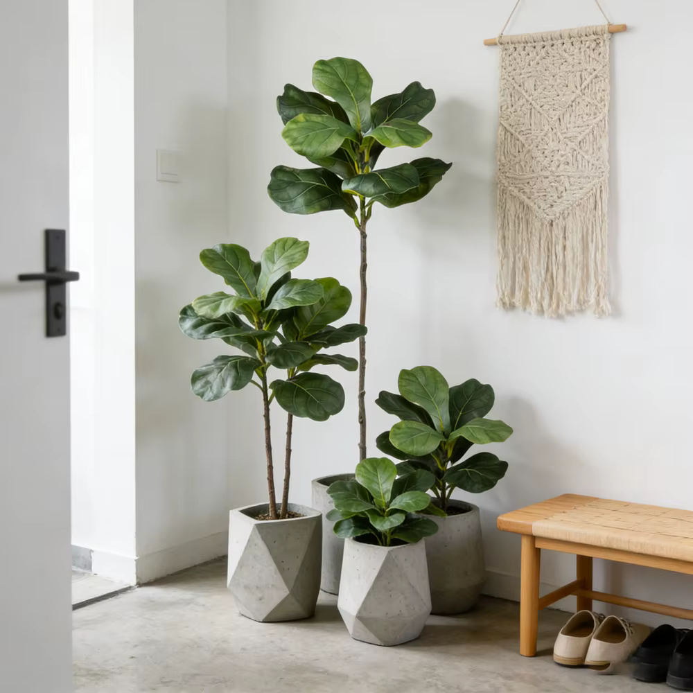 Plantes artificielles Ficus 38/70 cm