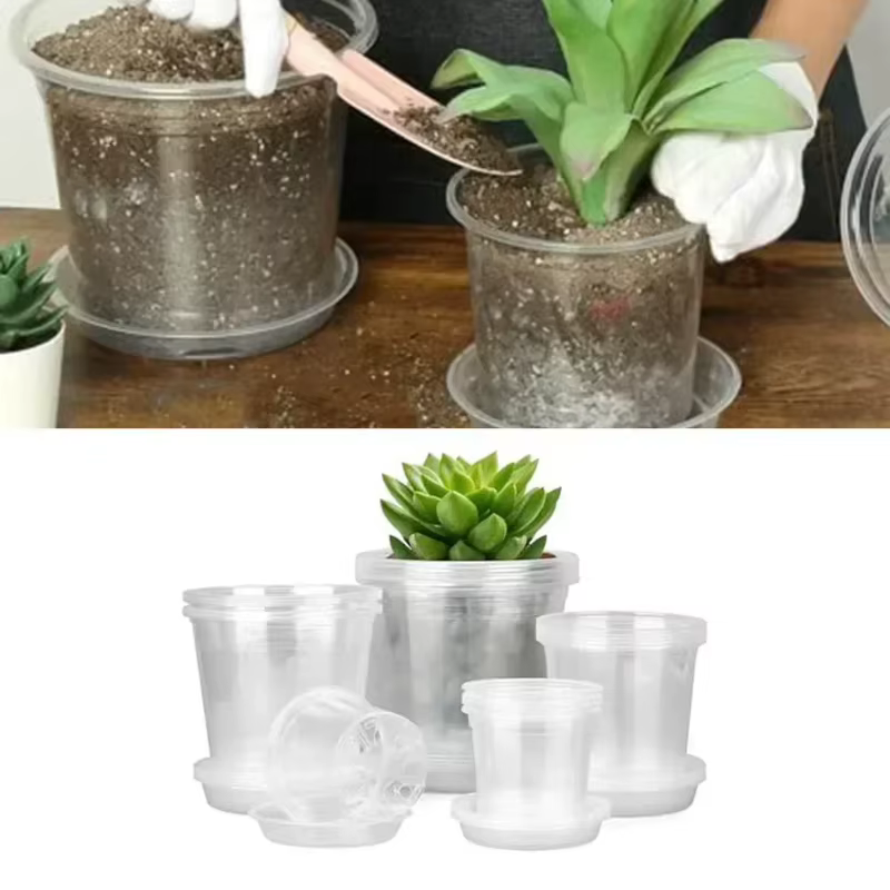 Nouveauté : Pot de pépinière transparent pour orchidées et herbes avec trou de drainage – Pot de fleurs