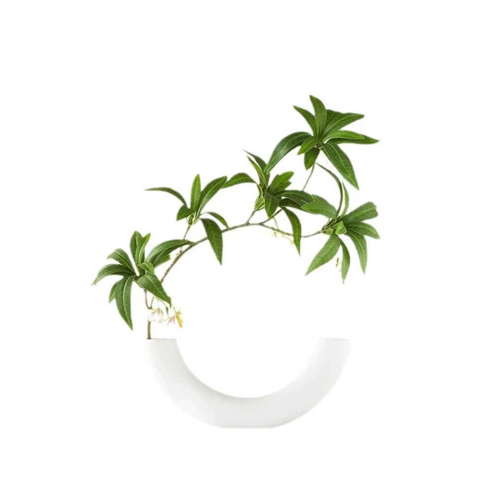 Plantes artificielles de Ficus de 50 cm