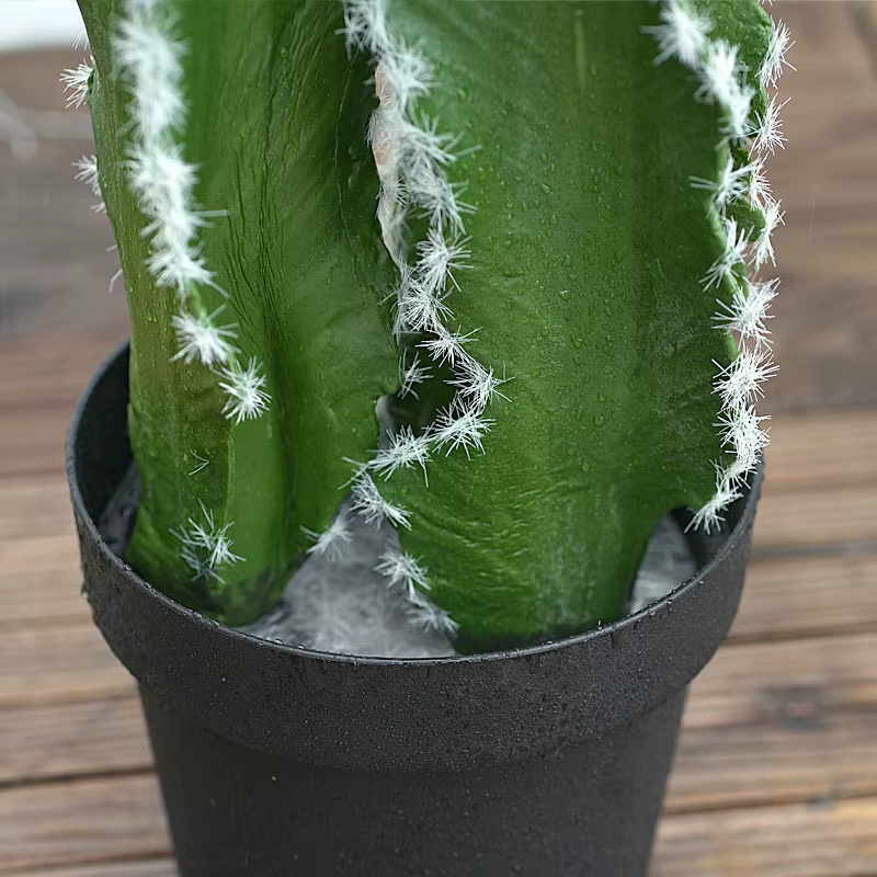 Plantes tropicales artificielles avec pot