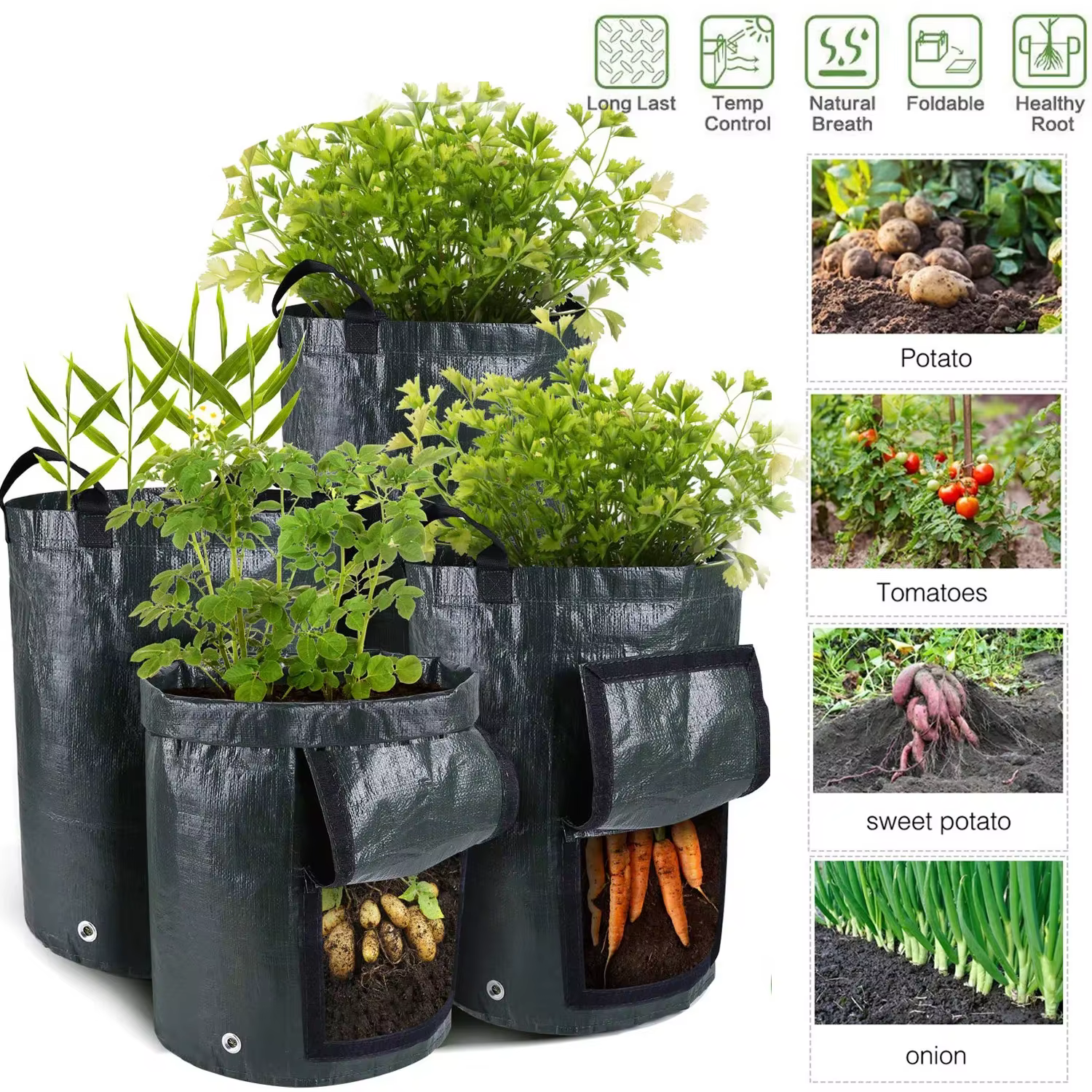 Sacs de culture de jardin 3/5/7/10 gallons, sacs de culture de pommes de terre, sacs de culture de plantes de jardinage, conteneur de jardinière de légumes et de carottes en tissu PE