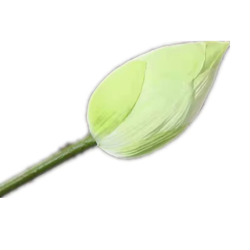 Fleur Artificielle Annie, Branche Faux Ans, Nénuphar, Plante Verte, 10Pcs